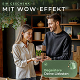 Salz- & Pfeffermühle elektrisch